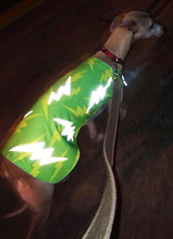 Load image into Gallery viewer, Green Lightning Reflective Dog Vest
