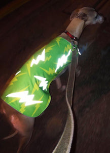 Green Lightning Reflective Dog Vest