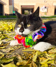 Load image into Gallery viewer, Bird/Cat Protection Clown Collar - Reflective