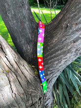 Load image into Gallery viewer, Bird/Cat Protection Clown Collar - Reflective