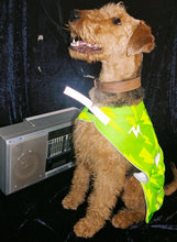 Load image into Gallery viewer, Green Lightning Reflective Dog Vest