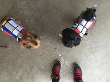 Load image into Gallery viewer, Mondrian Reflective Dog Vest
