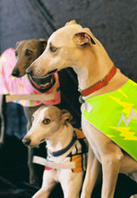 Load image into Gallery viewer, Green Lightning Reflective Dog Vest