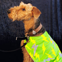 Load image into Gallery viewer, Green Lightning Reflective Dog Vest