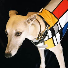 Load image into Gallery viewer, Mondrian Reflective Dog Vest