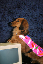 Load image into Gallery viewer, Doggie Donut Reflective Dog Vest