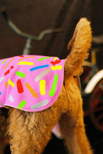 Load image into Gallery viewer, Doggie Donut Reflective Dog Vest