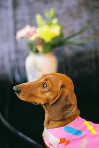 Doggie Donut Reflective Dog Vest