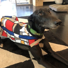 Load image into Gallery viewer, Mondrian Reflective Dog Vest
