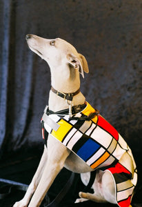 Mondrian Reflective Dog Vest