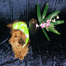 Load image into Gallery viewer, Green Lightning Reflective Dog Vest
